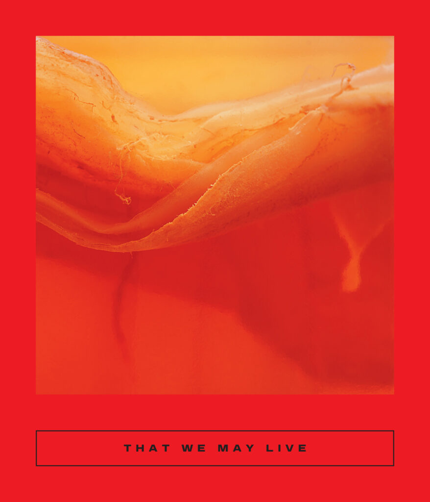 Book cover showing a yellow orange film floating in a red liquid