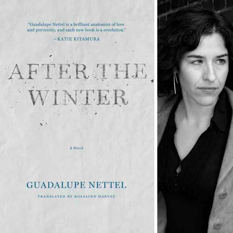 After the Winter: Guadalupe Nettel