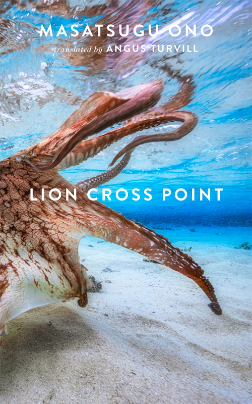 CAT Book Club: A First Look at Lion Cross Point
