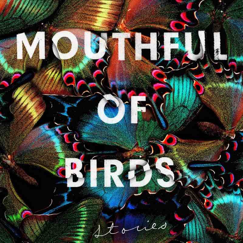 Dark Humor and Sharp Teeth: Translator Megan McDowell on Argentinian sensation Samanta Schweblin