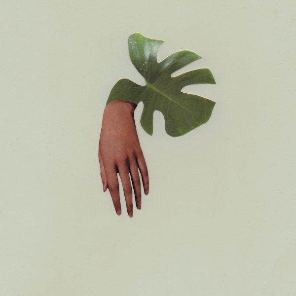 Self-Portrait in Green: A Conversation on the Work of Marie NDiaye