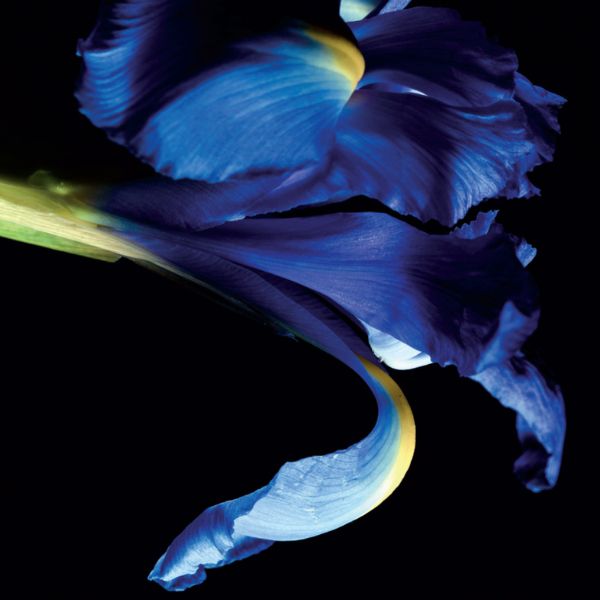 The International Library and BCLF Present Elektrik: Francophone Literature in Glittering Translations