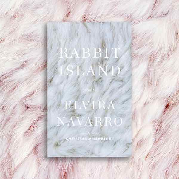 Rabbit Island Launch