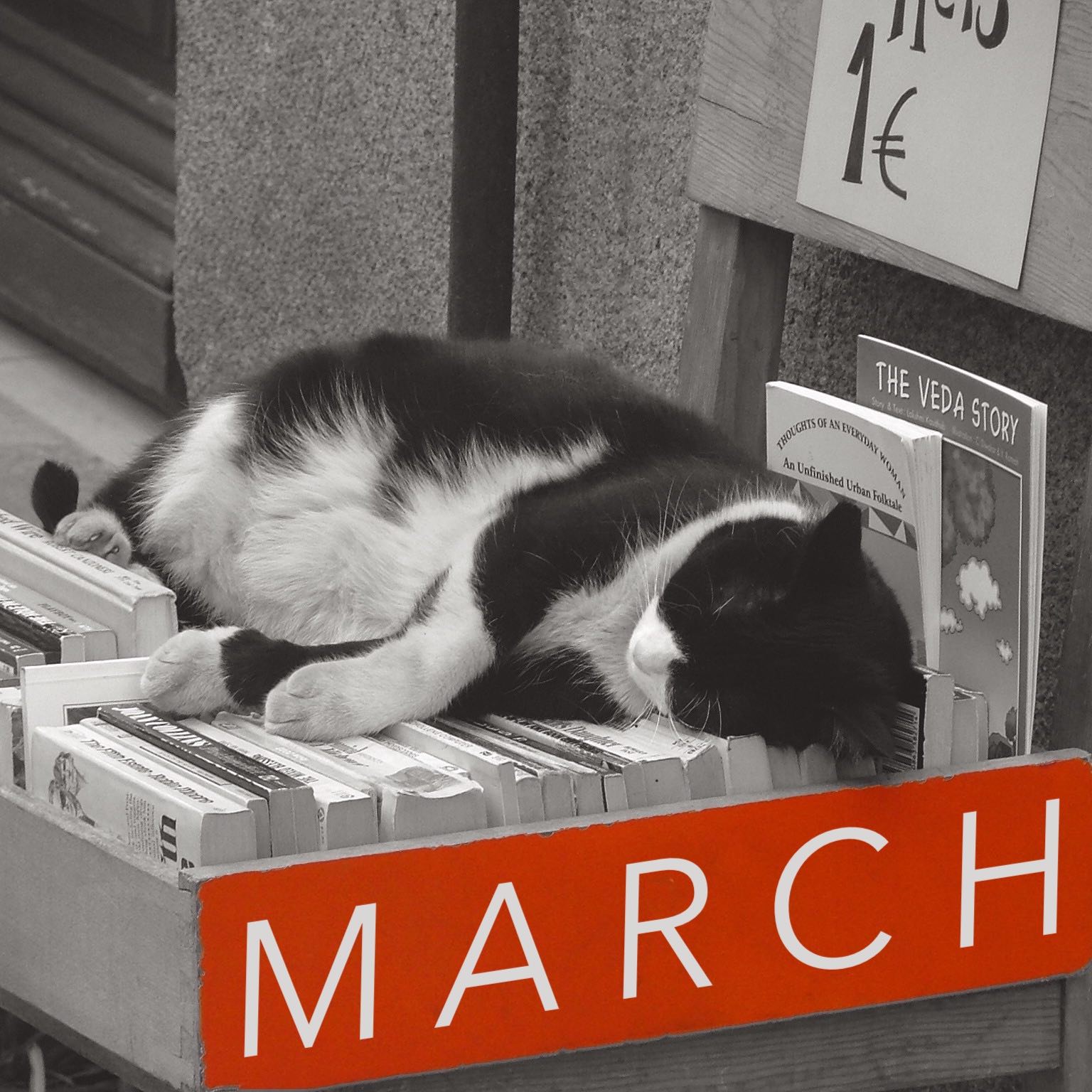 March 2024 translation news roundup