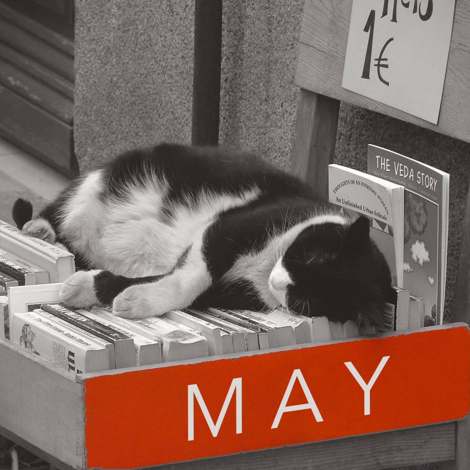 May 2023 translation news roundup