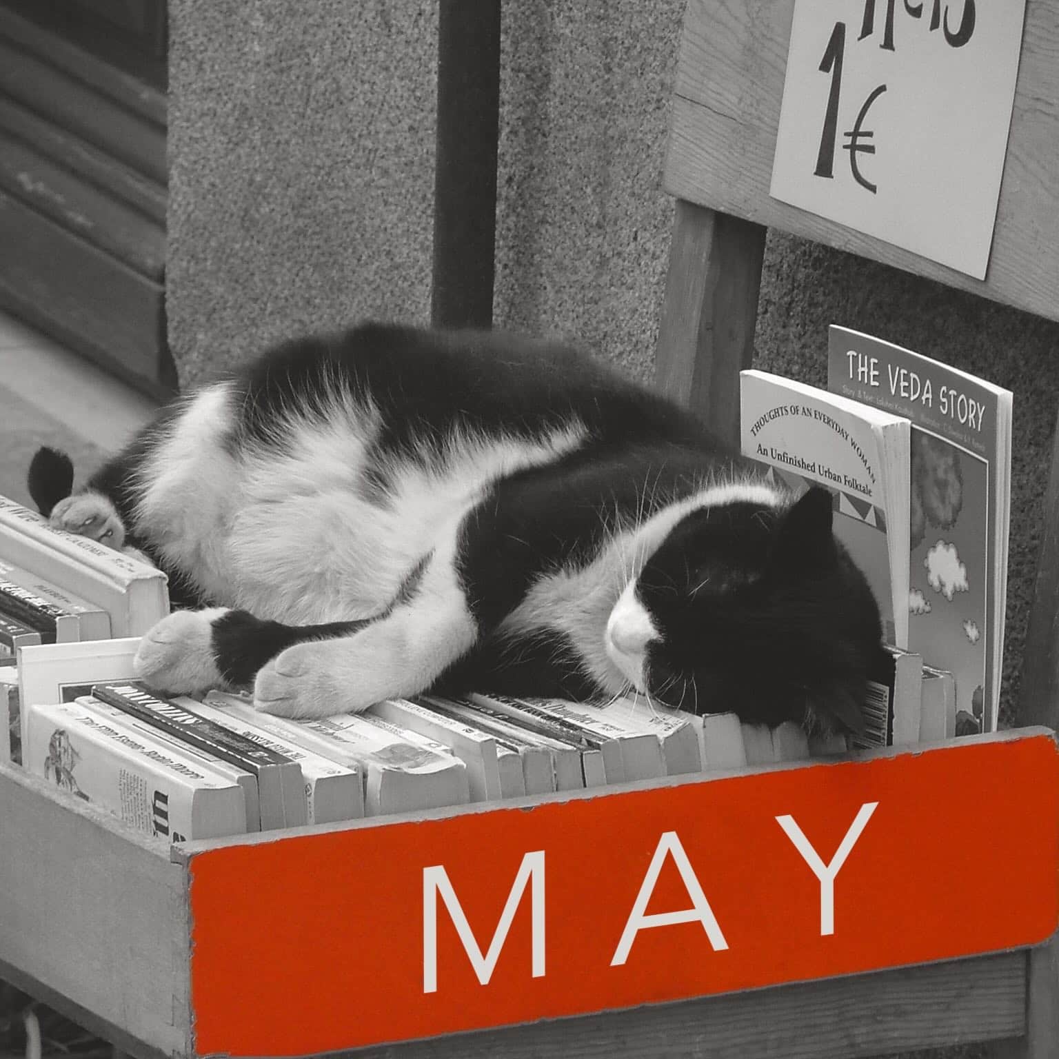 May 2024 translation news roundup