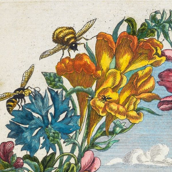 Carrying Pollen from Exile to Exile: International Journals and Translation (AWP 2020)