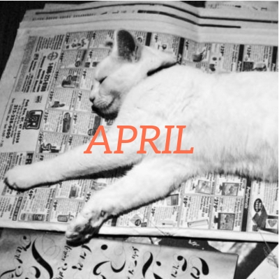 April 2019 translation news roundup