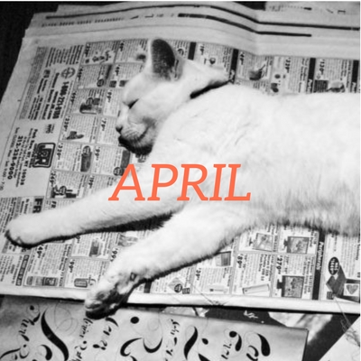 April 2022 translation news roundup