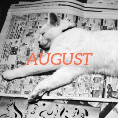 August 2022 translation news roundup