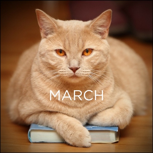CAT Book Club: March