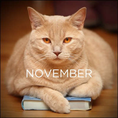 CAT Book Club: November