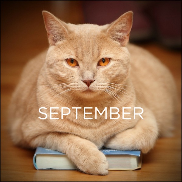 CAT Book Club: September