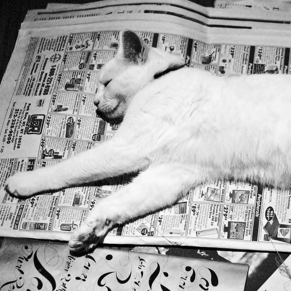 Translation News Roundup