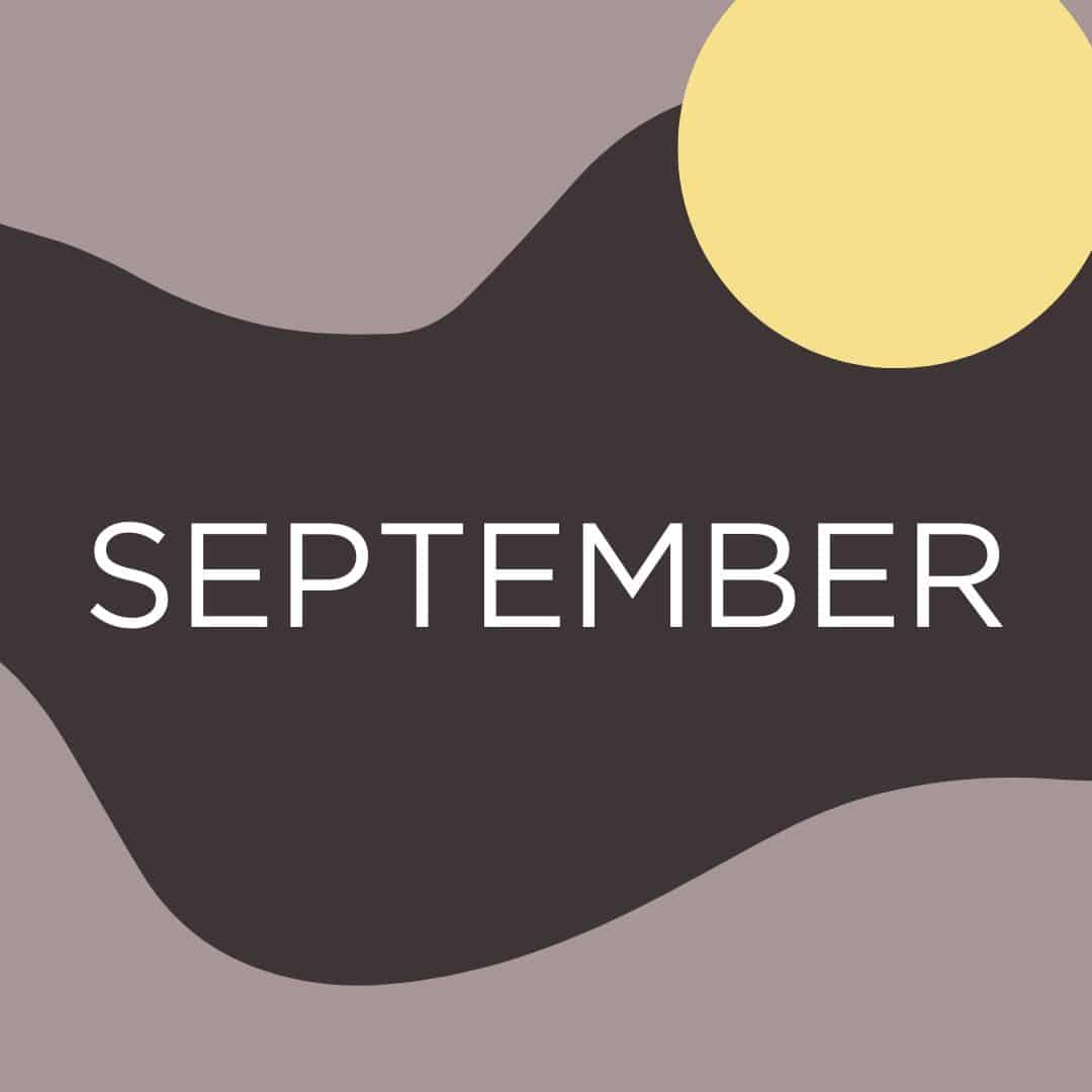 All things translation—September 2024 at CAT