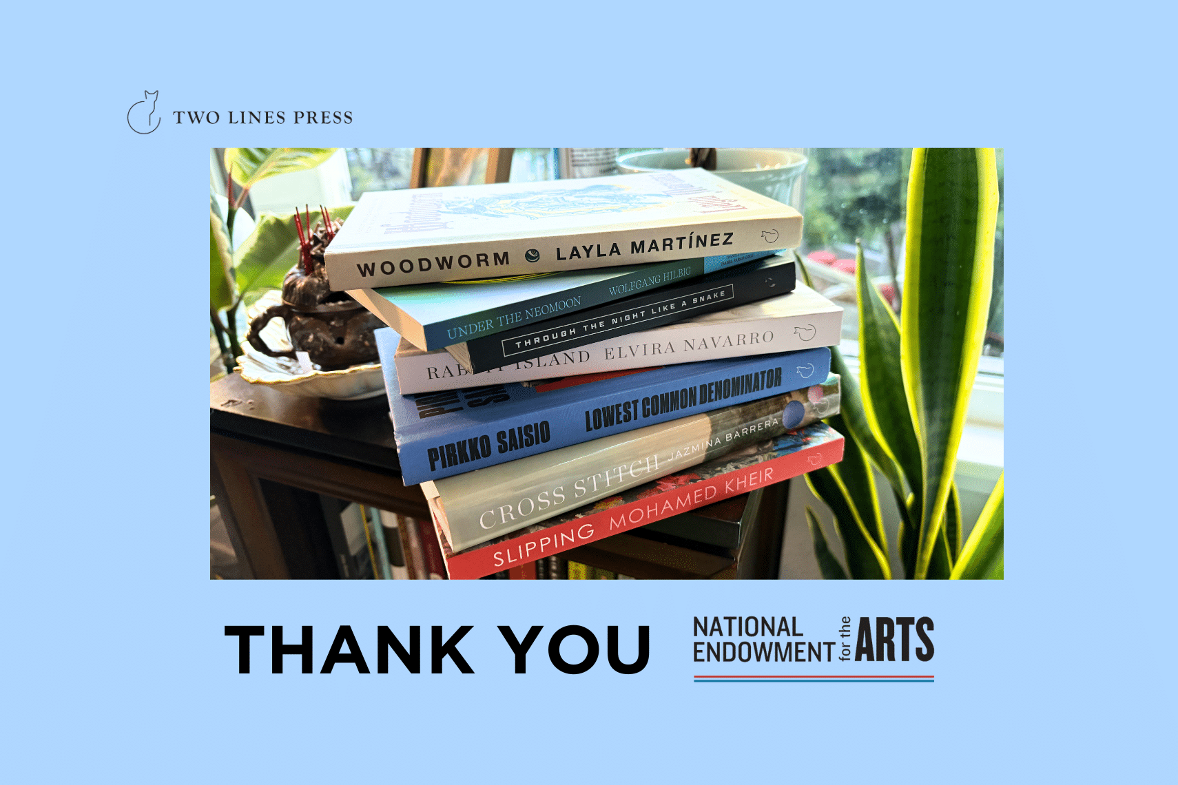 The National Endowment for the Arts awards Two Lines Press $45,000!