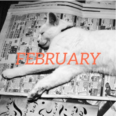 February Translation News Roundup