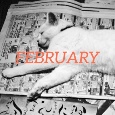 February 2022 translation news roundup