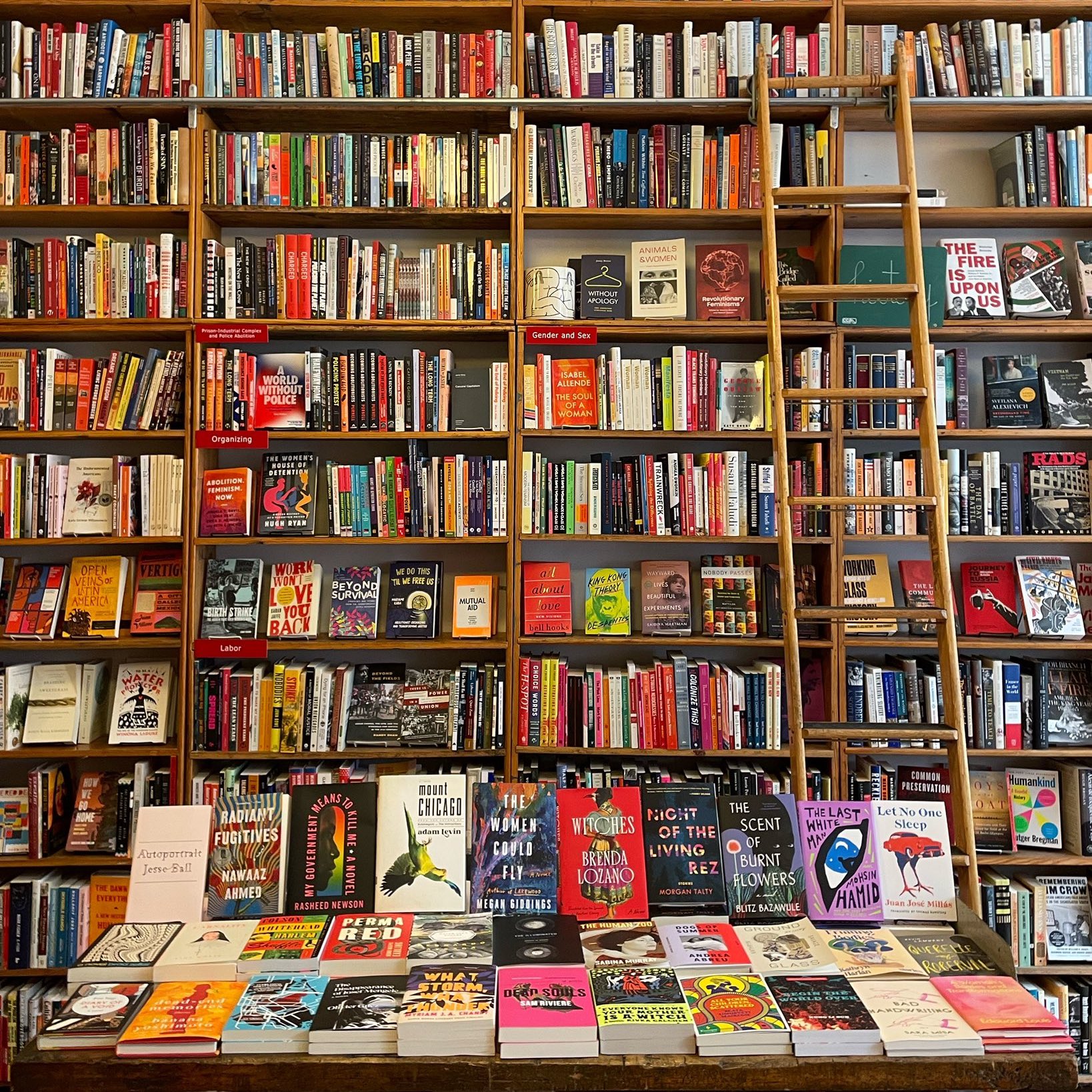 Spring 2023 Lit in Translation Preview