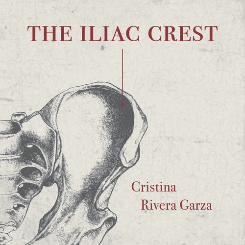 The Iliac Crest: Q&A with Sarah Booker