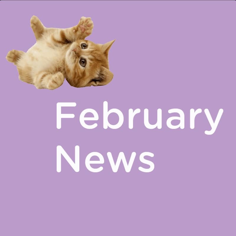 All Things Translation—February 2024 at CAT