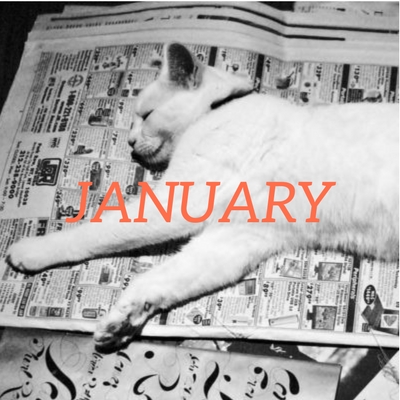 January 2023 translation news roundup