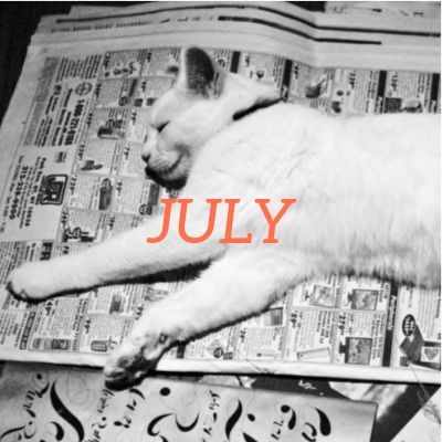 July 2019 translation news roundup