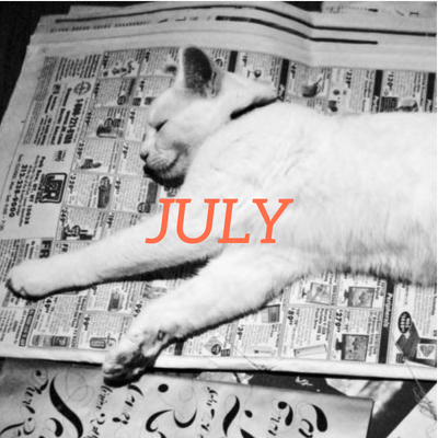 July 2022 translation news roundup