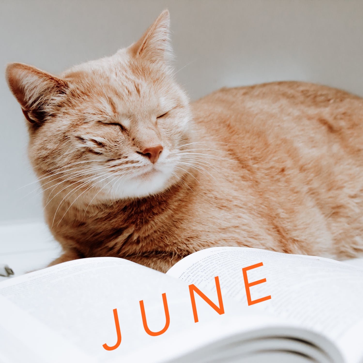 June 2023 translation news roundup