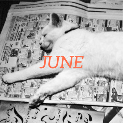 June 2021 translation news roundup