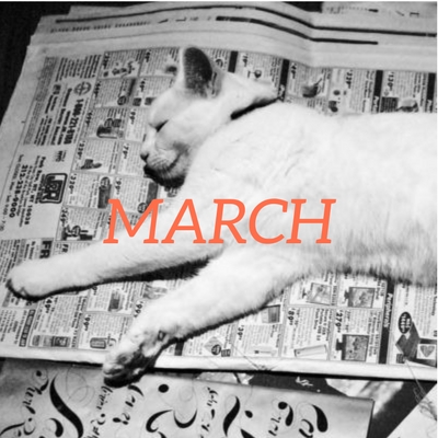 March 2022 translation news roundup