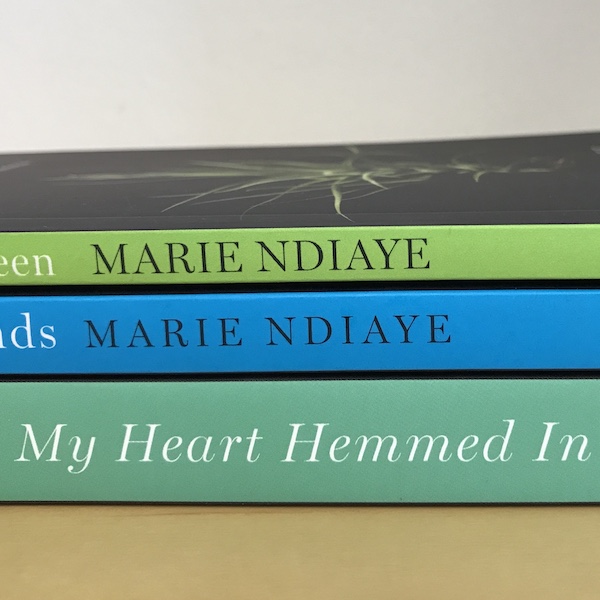 In Search of Marie NDiaye: An Interview with Jordan Stump
