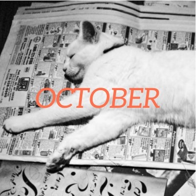 October 2022 translation news roundup