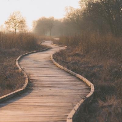 Poetry, Language, and the Effects of Exile