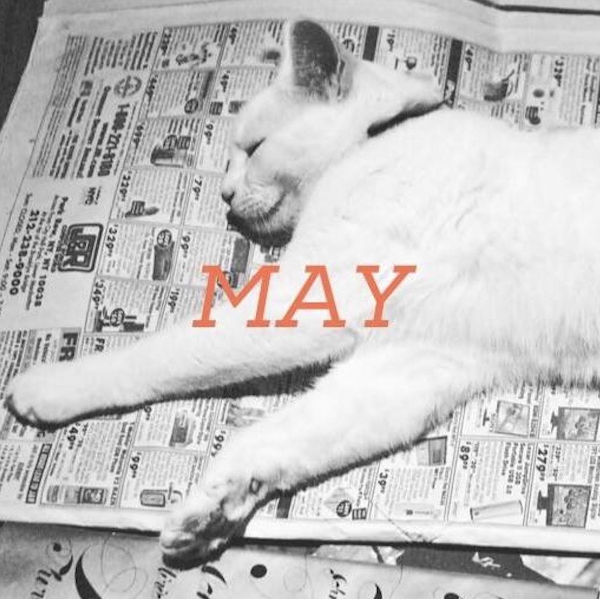 May 2022 translation news roundup