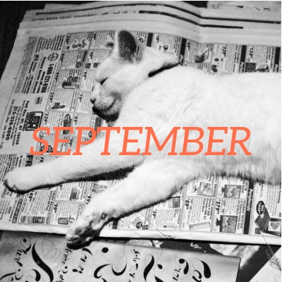 September 2022 translation news roundup