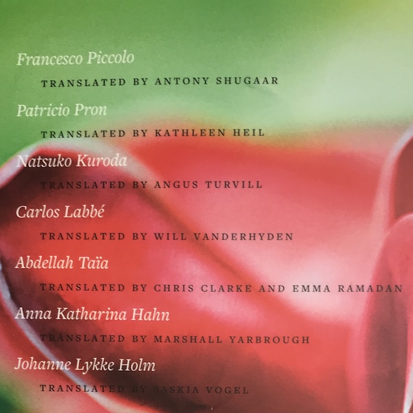 Two Lines 28: Fiction Spotlight