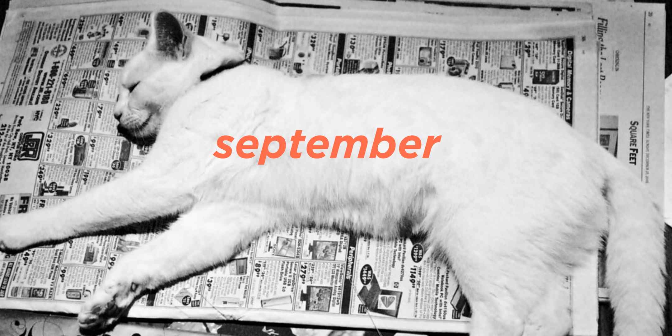 September 2024 Translation News Roundup