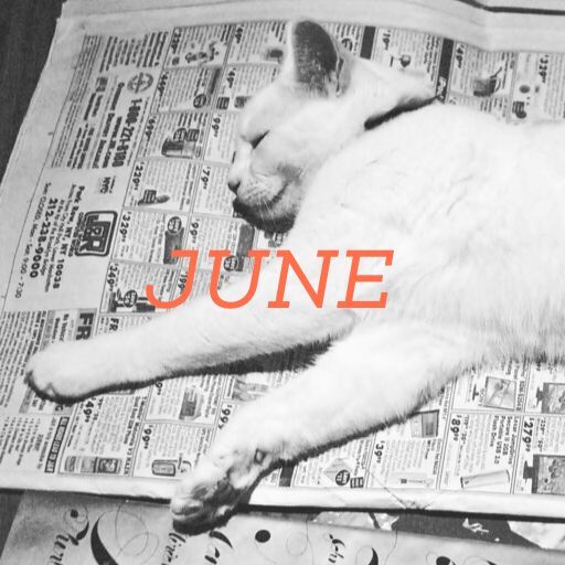 June 2022 translation news roundup