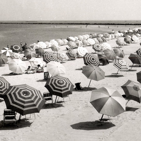 Translated Books We’ll Be Reading This Summer