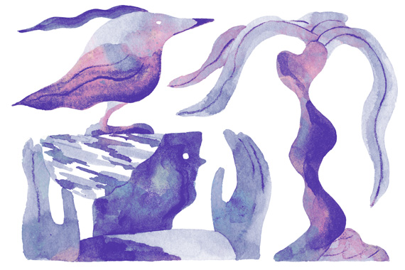 Field (I) | Field (II)