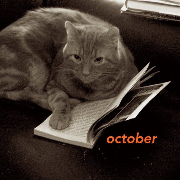 October 2023 translation news roundup