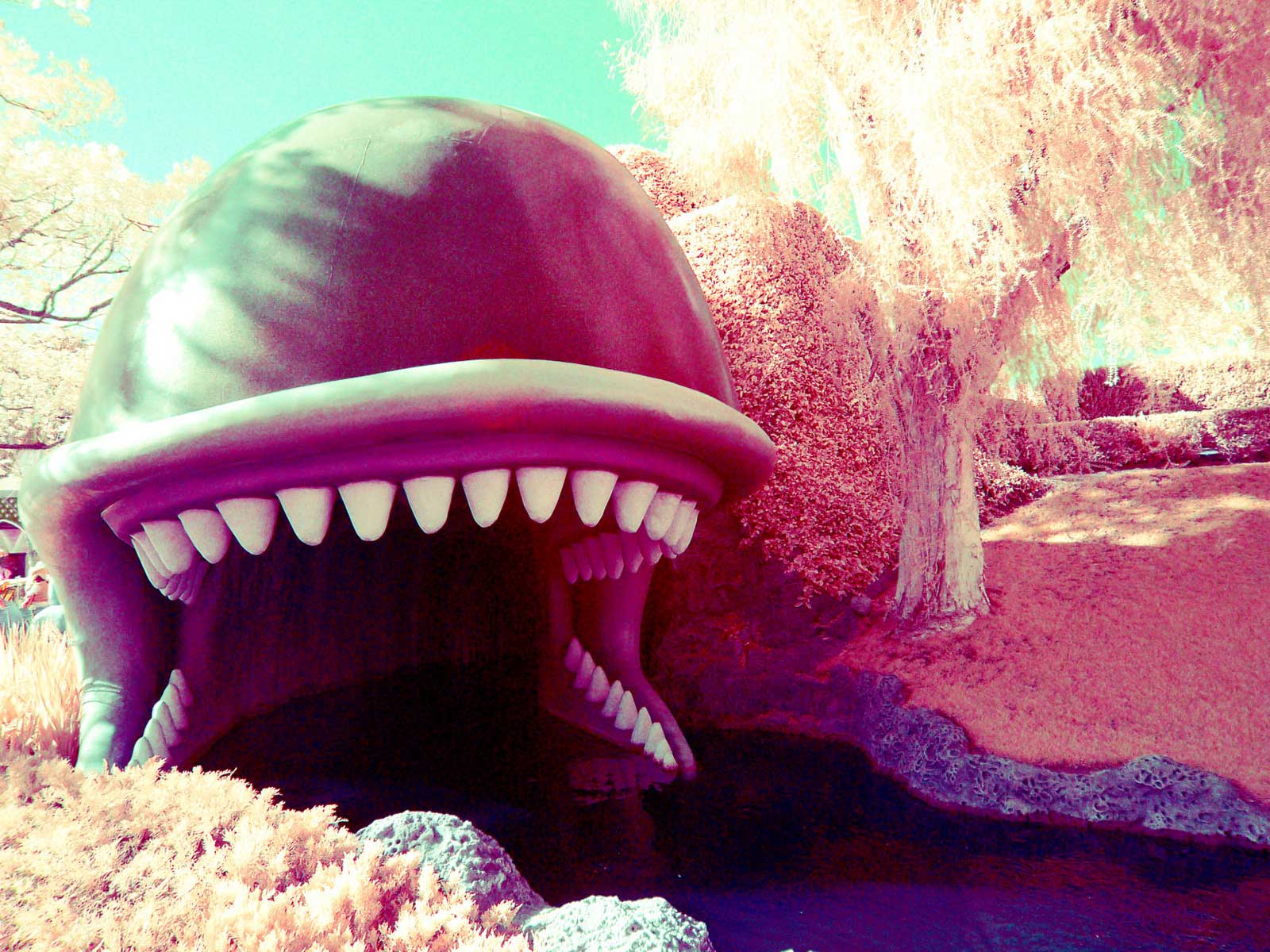 “Flesh of Leviathan” by Chus Pato