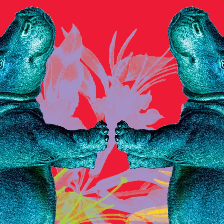 New African Literature to Read this Fall