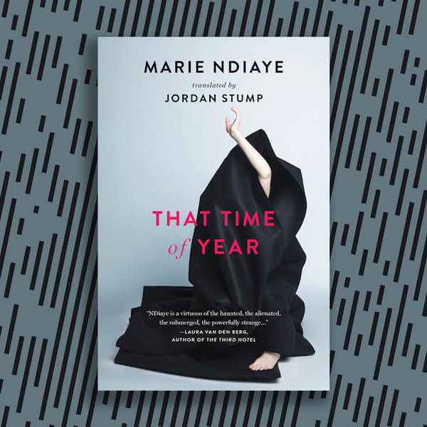 Catching Up to Marie NDiaye