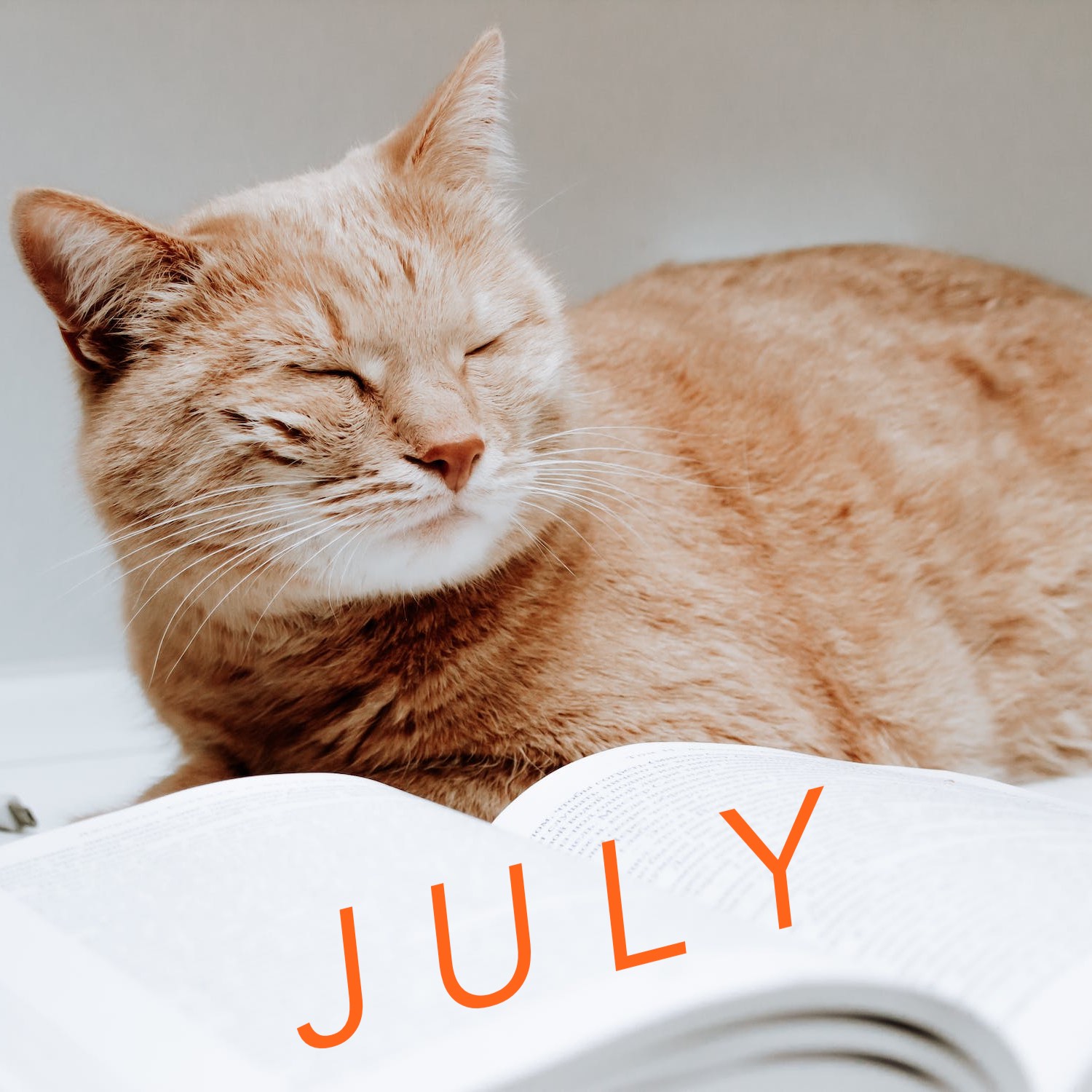 July 2023 translation news roundup