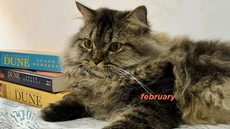 February 2025 Translation News Roundup