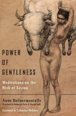 Power of Gentleness book cover