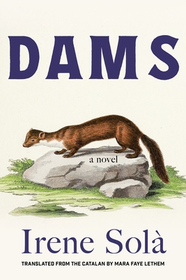 Dams book cover