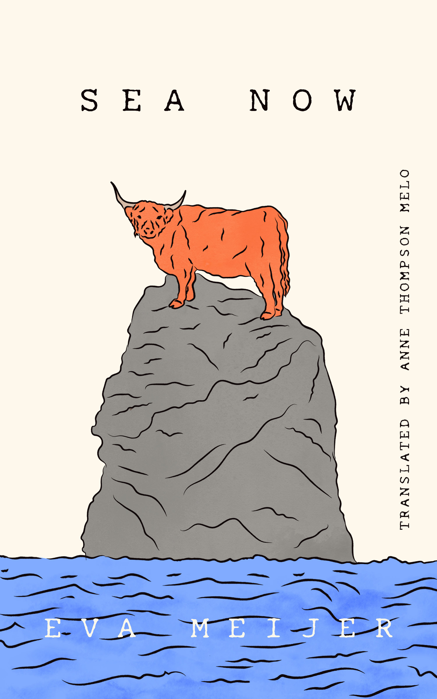 Sea Now book cover